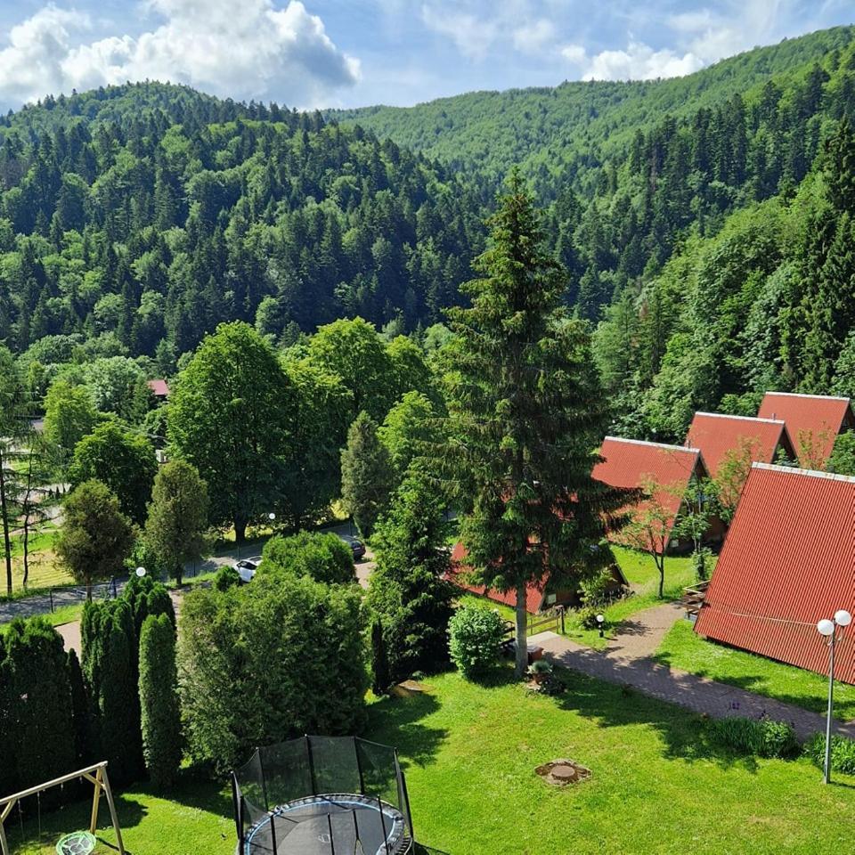 Perelka Bieszczady Domki Cisna Exterior photo